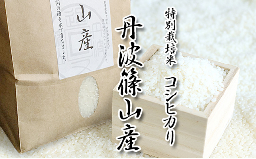 令和6年産新米　特A ランク米【特別栽培米】丹波篠山産コシヒカリ  2kg