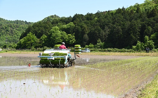 熟練の農家が、これまでの培った技術と経験から可能なかぎり農薬を減らして、低農薬の安心安全な米作りに取り組んでいます。