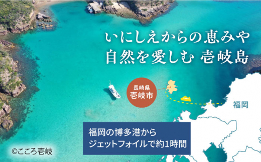 【3名様・1泊2食付】壱岐リトリート海里村上  by 温故知新 ※平日限定 長崎県/壱岐リトリート海里村上  by 温故知新 [42AIAD002] 5つ星 ミシュラン ホテル リゾート 宿泊 長崎 九州