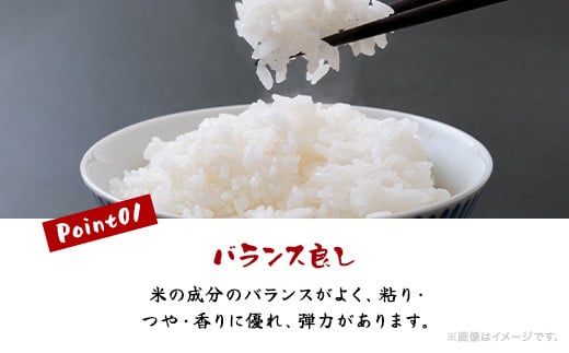 【新米】令和6年産米 千葉県産コシヒカリ「しばはら米」15kg (5kg×3)(精米) CNA002