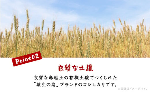 【新米】令和6年産米 千葉県産コシヒカリ「しばはら米」15kg (5kg×3)(精米) CNA002