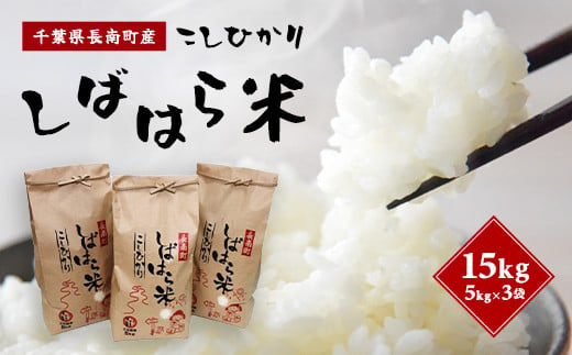 【新米】令和6年産米 千葉県産コシヒカリ「しばはら米」15kg (5kg×3)(精米) CNA002