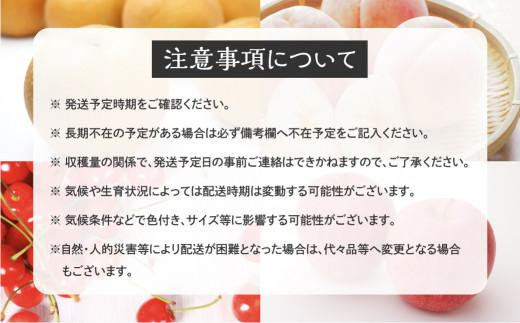 【数量限定】期間限定 飛騨産 梨 幸水 3キロ 2024年9月中旬〜下旬頃順次発送 | なし ナシ 果物 フルーツ 和梨 亀山忠志 飛騨高山 亀山果樹園 HC001