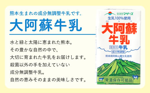 【定期便 12ヶ月】らくのうマザーズ 大阿蘇 牛乳 3.6％ 250ml×24本