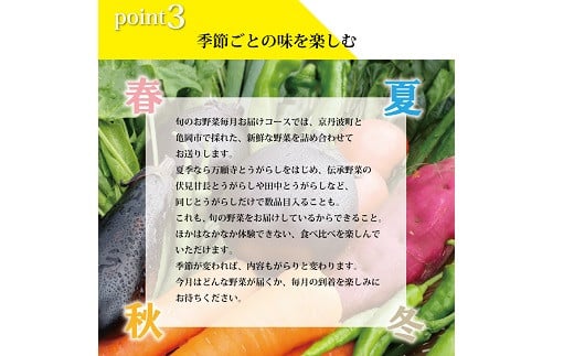 【12回定期便】旬の京野菜 毎月お届けレギュラーコース（全12回）＆『葉酸たまご』6個入り×1パック×3回分付 《野菜定期便 野菜詰め合わせ 野菜セット 京野菜 旬の野菜 新鮮野菜 有機野菜 減農薬 卵》 ※沖縄・その他離島は配送不可 [132KH001R]