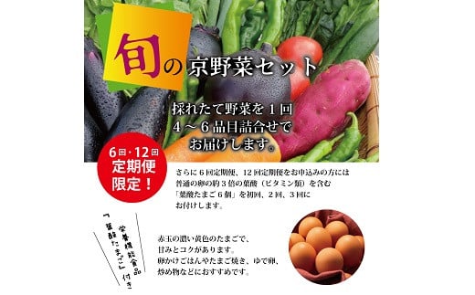 【12回定期便】旬の京野菜 毎月お届けレギュラーコース（全12回）＆『葉酸たまご』6個入り×1パック×3回分付 《野菜定期便 野菜詰め合わせ 野菜セット 京野菜 旬の野菜 新鮮野菜 有機野菜 減農薬 卵》 ※沖縄・その他離島は配送不可 [132KH001R]