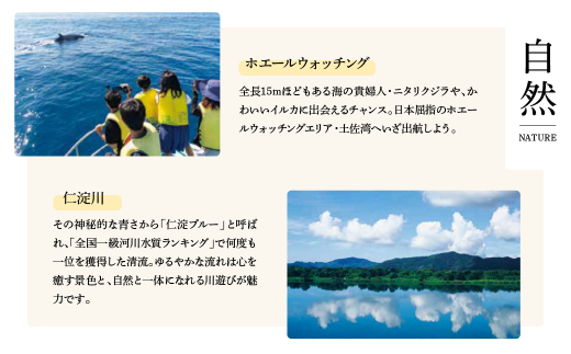 【3月/5月/7月】土佐市・いの町・日高村 人気もの定期便コース