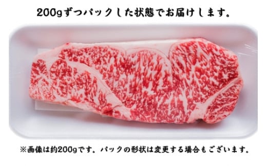 長州ながと和牛「サーロインステーキ」牛肉 肉 小分け 3枚 200g×3 サーロイン ステーキ ギフト 贈り物 和牛 牛 ながと和牛 長門市