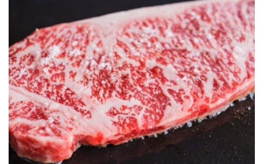 長州ながと和牛「サーロインステーキ」牛肉 肉 小分け 3枚 200g×3 サーロイン ステーキ ギフト 贈り物 和牛 牛 ながと和牛 長門市