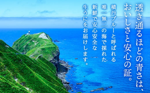 【2025年夏発送分】バフンウニ100g×1パック・ムラサキウニ100g×2パック