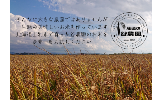 【北海道士別市】（産直の谷農園）※定期便※　産地直送米「ゆめぴりか」（15㎏×6ヵ月）