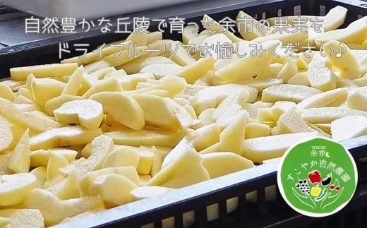 【余市産】すこやか自然農園「ドライフルーツりんご」15g×2Pセット【ふるさと納税限定規格】