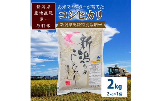 米 お米マイスターが育てた特別栽培米 コシヒカリ 上越頸城産 令和5年産 2kg(2kg×1袋)白米 お米 こめ 食品