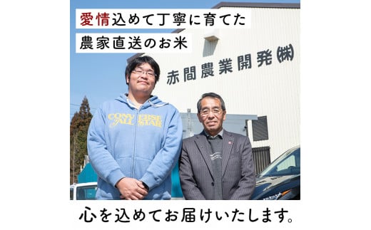 ＜令和6年産 新米＞ 五百川 10kg お米 おこめ 米 コメ 白米 早場米 極早生品種 ご飯 ごはん おにぎり お弁当【赤間農業開発株式会社】ta459