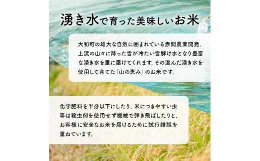 ＜令和6年産 新米＞ 五百川 10kg お米 おこめ 米 コメ 白米 早場米 極早生品種 ご飯 ごはん おにぎり お弁当【赤間農業開発株式会社】ta459