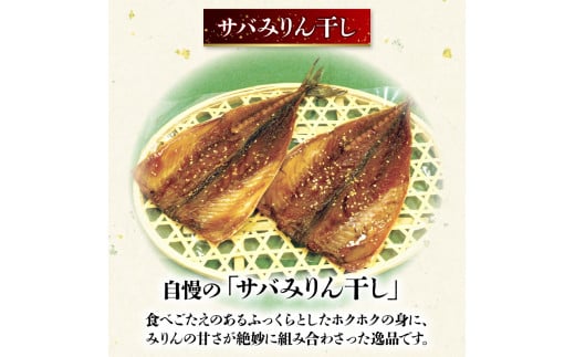 【来年3月発送】 訳あり 干物 3kg セット ( 人気 小分け 個包装 3キロ 詰め合わせ 乾物 ひもの わけあり サバ ホッケ カマス エテカレイ アジ フィレ 不揃い 詰め合わせ おいしい おすすめ 先行予約 1万円 10000円 京都 舞鶴 )