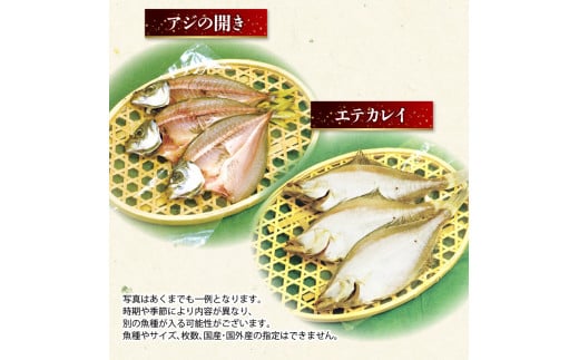 【来年3月発送】 訳あり 干物 3kg セット ( 人気 小分け 個包装 3キロ 詰め合わせ 乾物 ひもの わけあり サバ ホッケ カマス エテカレイ アジ フィレ 不揃い 詰め合わせ おいしい おすすめ 先行予約 1万円 10000円 京都 舞鶴 )