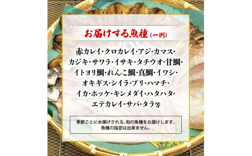 【来年3月発送】 訳あり 干物 3kg セット ( 人気 小分け 個包装 3キロ 詰め合わせ 乾物 ひもの わけあり サバ ホッケ カマス エテカレイ アジ フィレ 不揃い 詰め合わせ おいしい おすすめ 先行予約 1万円 10000円 京都 舞鶴 )