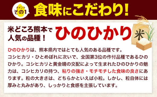 令和6年産 新米 早期先行予約受付中 ひのひかり 白米 15kg 《7-14営業日以内に出荷予定(土日祝除く)》 熊本県産 白米 精米 氷川町 ひの 送料無料 ヒノヒカリ コメ 便利 ブランド米 お米 おこめ 熊本 SDGs