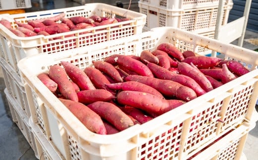 K2380＜9月内発送＞茨城県産 熟成紅はるか 干し芋 切り落とし おすそわけ！1kg（200g×5袋入）