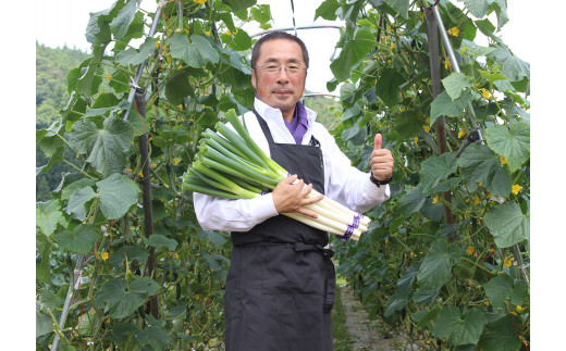 【遠野 ふるさと 野菜便 】と ジンギスカン セット じんぎすかん たれ ヘルシー 岩手県 人気 売れ筋 お取り寄せ グルメ バーベキュー BBQ  赤身肉 遠野市