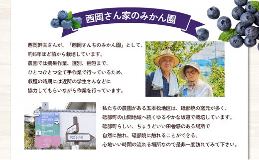 愛媛県砥部町産とれたて新鮮でお届け！生ブルーベリーおためしサイズ110ｇ×4パック　【期間限定～7/15まで】 冷蔵 甘い アントシアニン デザート フルーツ ヨーグルト スムージー 生 まるごと おやつ 今が旬[№5310-0238]