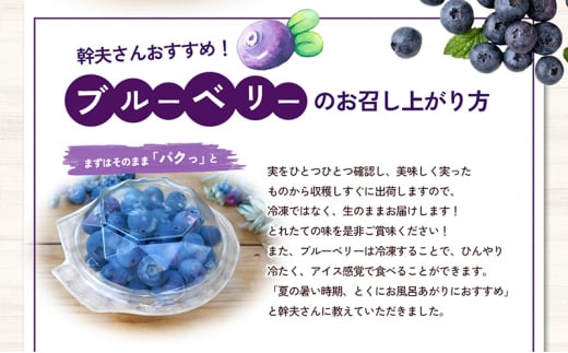 愛媛県砥部町産とれたて新鮮でお届け！生ブルーベリーおためしサイズ110ｇ×4パック　【期間限定～7/15まで】 冷蔵 甘い アントシアニン デザート フルーツ ヨーグルト スムージー 生 まるごと おやつ 今が旬[№5310-0238]