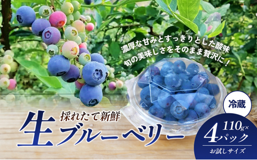 愛媛県砥部町産とれたて新鮮でお届け！生ブルーベリーおためしサイズ110ｇ×4パック　【期間限定～7/15まで】 冷蔵 甘い アントシアニン デザート フルーツ ヨーグルト スムージー 生 まるごと おやつ 今が旬[№5310-0238]