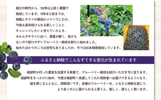 愛媛県砥部町産とれたて新鮮でお届け！生ブルーベリーおためしサイズ110ｇ×4パック　【期間限定～7/15まで】 冷蔵 甘い アントシアニン デザート フルーツ ヨーグルト スムージー 生 まるごと おやつ 今が旬[№5310-0238]