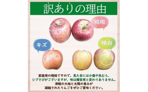 ＜黒石市産＞糖度12度以上保証!早生ふじ訳あり家庭用約10kg【1519966】