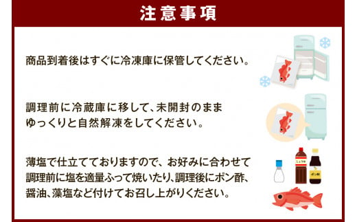 【お歳暮】【年内配送】山陰浜田で創業40年 老舗大秀商店の「のどぐろ一夜干し」（5尾入） 魚介類 魚 一夜干し 干物 干もの のどぐろ アカムツ のどくろ 【117】