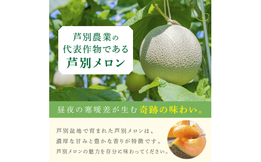 【北海道 芦別メロン】赤肉 メロン 2玉セット 各1.5kg  計2玉 北海道 芦別市 果物 メロン 甘い ジューシー フルーツ ギフト お中元  [№5342-0275]