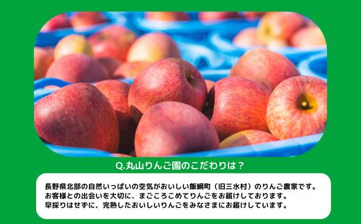 りんご シナノスイート 家庭用 5kg 丸山りんご園 沖縄県への配送不可 2024年10月上旬頃から2024年11月上旬頃まで順次発送予定 令和6年度収穫分 信州 果物 フルーツ リンゴ 林檎 長野 12000円 予約 農家直送 長野県 飯綱町 [0398]