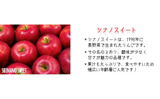 りんご シナノスイート 家庭用 5kg 丸山りんご園 沖縄県への配送不可 2024年10月上旬頃から2024年11月上旬頃まで順次発送予定 令和6年度収穫分 信州 果物 フルーツ リンゴ 林檎 長野 12000円 予約 農家直送 長野県 飯綱町 [0398]