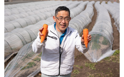 【予約商品】【広島県産 人参(10Kg)】野菜ジュースにも 甘い 農家直送 とれたて 新鮮【配送時期：11月上旬～2月下旬】