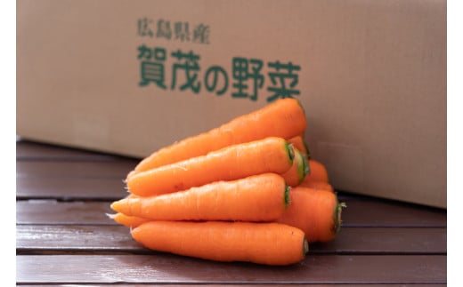 【予約商品】【広島県産 人参(10Kg)】野菜ジュースにも 甘い 農家直送 とれたて 新鮮【配送時期：11月上旬～2月下旬】