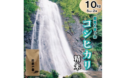 多可町加美区の清流で育ったコシヒカリ【精米】５kg×２袋[829] 