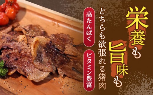 【6回定期便】ジビエ 天然イノシシ肉 バラエティ総量3.8kg 【照本食肉加工所】 [OAJ073] / 猪 猪肉 いのしし肉 イノシシ イノシシ肉 ジビエ いのしし 長崎県猪 川棚町産猪 ぼたん鍋用いのしし 九州産イノシシ じびえ ジビエ ジビエ肉