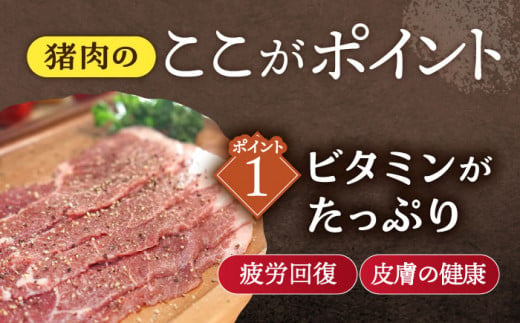 【6回定期便】ジビエ 天然イノシシ肉 バラエティ総量3.8kg 【照本食肉加工所】 [OAJ073] / 猪 猪肉 いのしし肉 イノシシ イノシシ肉 ジビエ いのしし 長崎県猪 川棚町産猪 ぼたん鍋用いのしし 九州産イノシシ じびえ ジビエ ジビエ肉