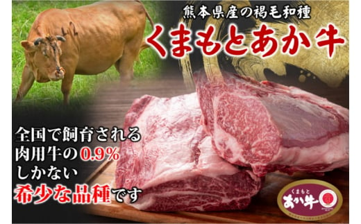 あか牛 くまもとあか牛 切り落とし 400g 肉 お肉 赤牛 ※配送不可：離島