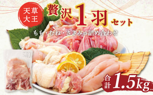 天草大王 贅沢 1羽 セット 計1.5kg もも むね ささみ 鶏肉