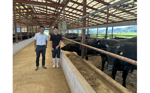 A5ランク 鳥取和牛ももスライス 400g 牛肉 精肉 肉 カタセイ 黒毛和牛 和牛 モモスライス ももスライス 和牛らんぷ 牛もも 赤身 黒毛和牛 5等級 スライス 牛肉 すき焼き 高級肉 和牛 お肉 やわらかい