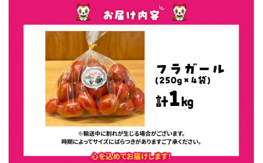 フルーツトマト　フラガール1kg　よこた農園　（へたなし ミニトマト プチトマト ぷちとまと 高糖度）