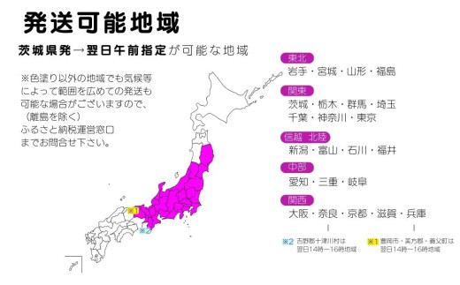 厳選カトレア鉢花 5輪咲コース 鉢花カトレア 5リン咲き 全国洋らん品評会13年連続金賞受賞 山野井洋蘭 カトレア