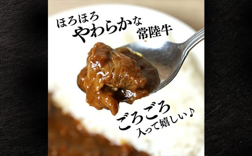 牛すじカレー 200g×4個 茨城県 ブランド牛 常陸牛 使用 521