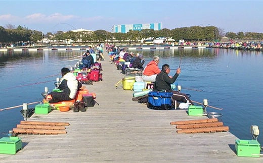 釣り 体験 つり処椎の木湖 1日ご招待券 へら鮒 フィッシング スポーツ アウトドア 体験 チケット 観光 旅行