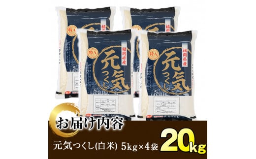 ＜令和6年産＞福岡県産ブランド米「元気つくし」白米(計20kg・5kg×4袋)お米 20キロ ごはん ご飯 【ksg0380】【朝ごはん本舗】