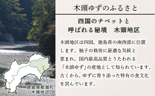 木頭ゆずの手作りつくだ煮 100g 3個【徳島県 那賀町 木頭 ゆず 柚子 ユズ 木頭柚子 木頭ゆず 佃煮 つくだ煮 ご飯 おにぎり ごはんのおとも お酒のお供 ご飯のおかず お酒のあて 瓶 お取り寄せ 手作り 柚冬庵】YA-18