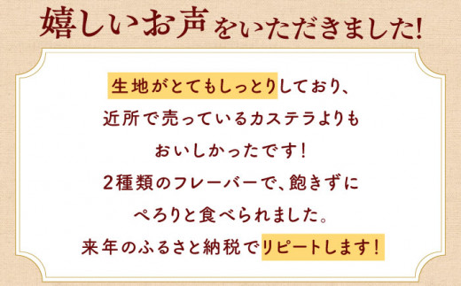 カステラ ざんまい 3枚カット×3箱 （ハニー×2・抹茶×1）【菓秀苑 森長】 [QBL001]