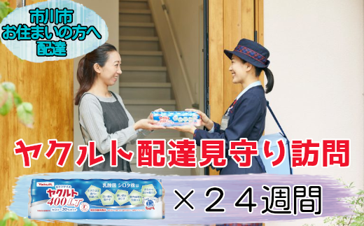 ＜市川市内の訪問限定＞ヤクルト配達見守り訪問(24週間／Yakult400類　168本)　【12203-0187】